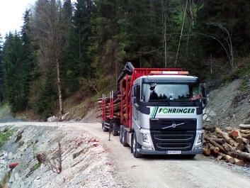 Rundholz-LKW Bild 4