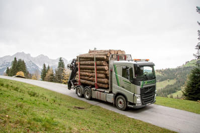 Rundholz-LKW Bild 9